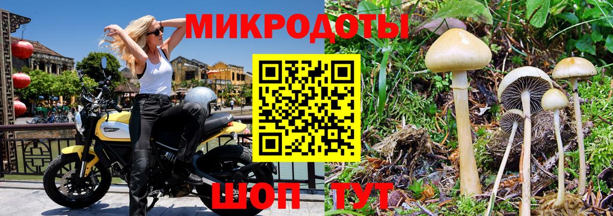 Псилоцибиновые грибы мухоморы Вичуга